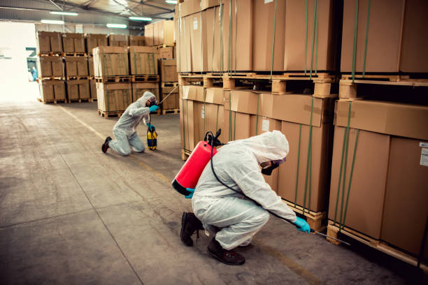 Best Affordable Pest Control Services  in Georgetown, CO