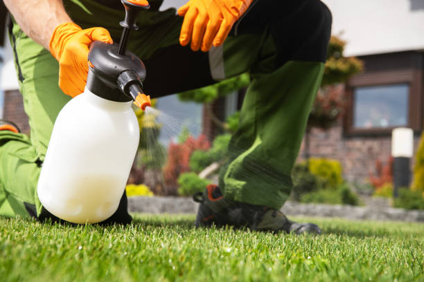 Best Best Pest Control Companies  in Georgetown, CO