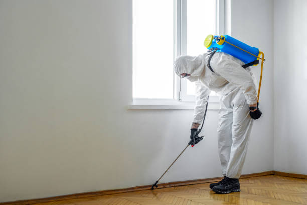 Best Emergency Pest Control  in Georgetown, CO