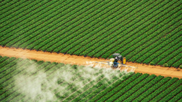 Best Mosquito Control Services  in Georgetown, CO