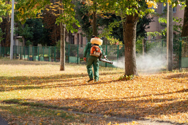 Best Pest Prevention Services  in Georgetown, CO
