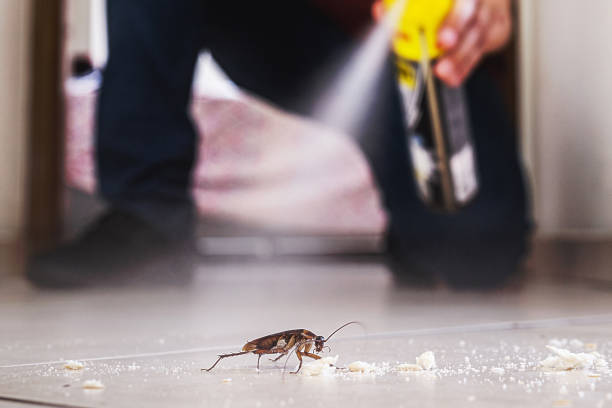 Reliable Georgetown, CO Pest Control Solutions