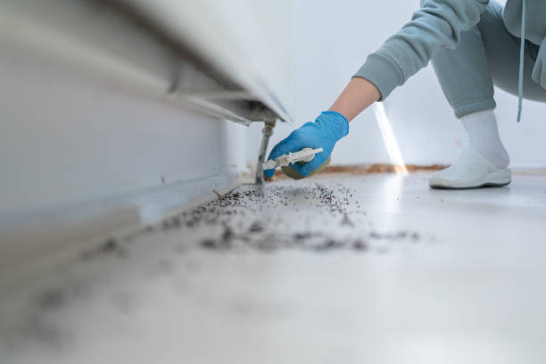 Best Pest Control Cost  in Georgetown, CO
